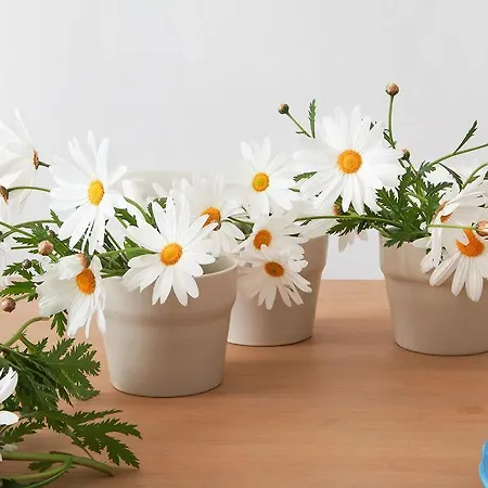 아파트호텔 Dimore Santa Gaeta